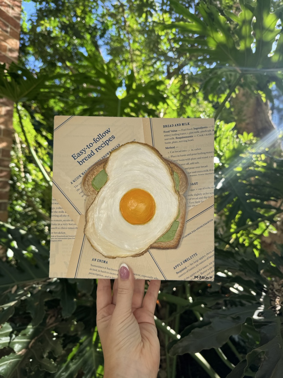 Egg on Toast